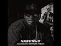 NABONGO DISS TO TANZANIA RIP TZ Official Audio