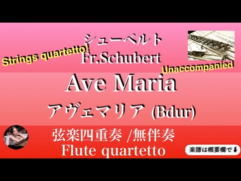 Ave Maria (B・strings quartetto ) - F.Schubert 