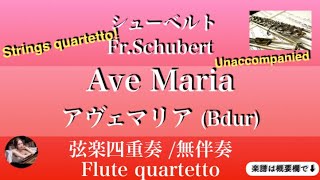 Ave Maria (B・strings quartetto ) - F.Schubert 