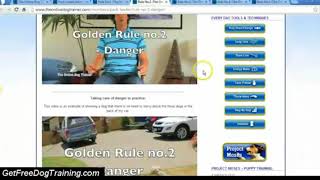 Doggy Dans Online Dog Trainer Review - Doggy Dans 5 Den Rules