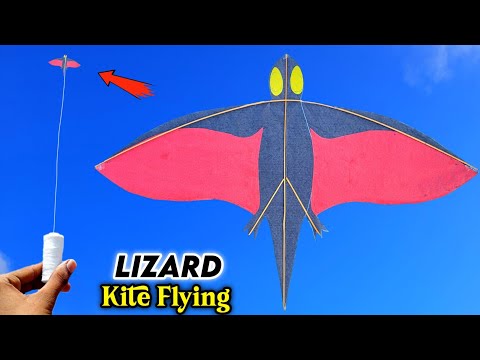 How to make an lizard flying kite , homemade dragon kite , bat kite flying