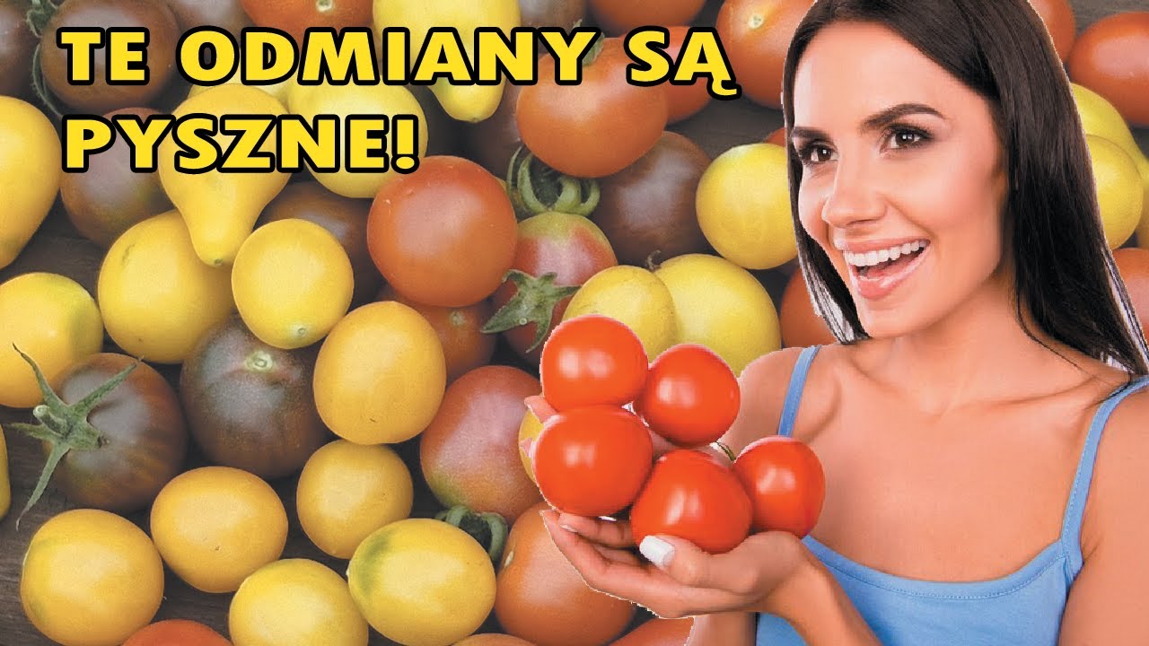 🍅Moje Najsmaczniejsze Odmiany Pomidorów Które Polecam Od Serca  Bardzo plenne i TANIE odmiany🍅