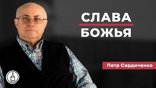 Рождество: Слава Божья // Петр Сердиченко