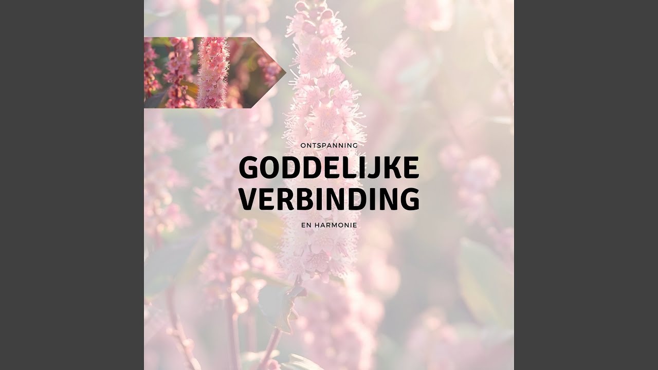 Watch Hantering van Stress on YouTube Watch Hantering van Stress on YouTube