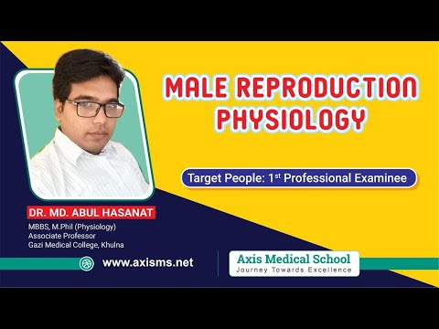 Physiology | Male