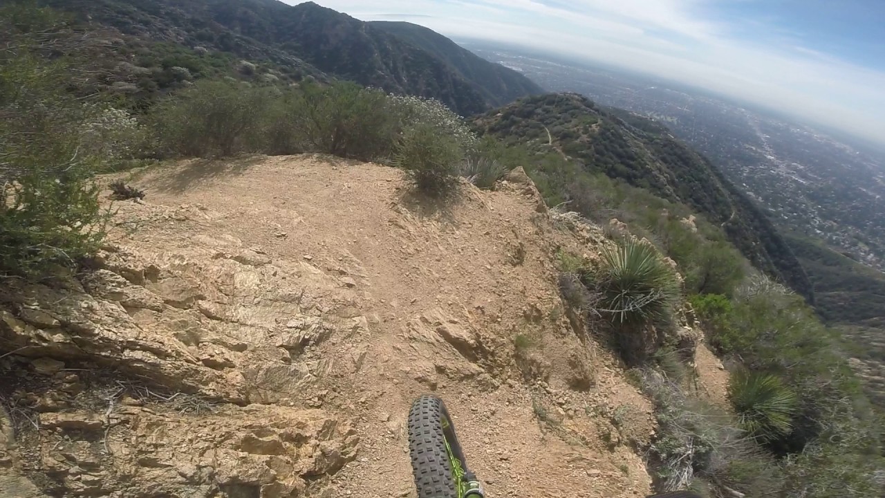 middle merrils on DVOMINATOR