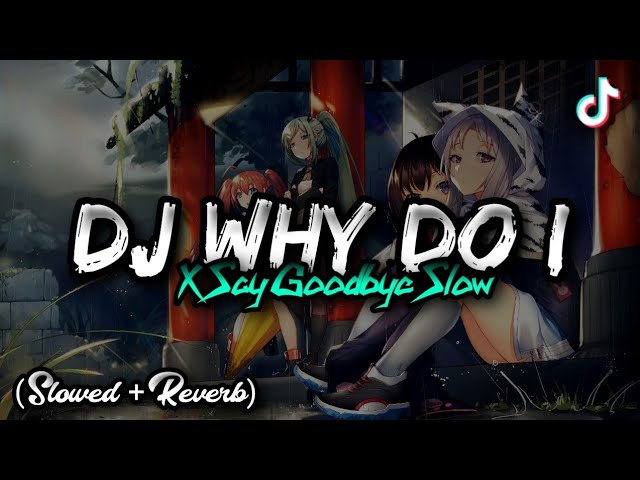 DJ WHY DO I X SAY GOODBYE SLOW || viral tiktok🎶🎧 class=