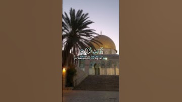 تلاوة تريح قلب من سمعها 🎧