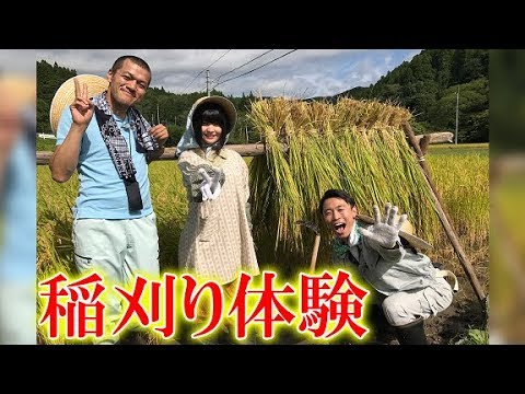 ひよっこの舞台で稲刈り体験。カミナリ、根本凪が茨城県のフォトジェニックなスポットを旅する「#いばジェニック写真旅(仮)」#6
