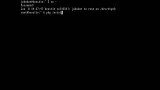 Installing Software on FreeBSD