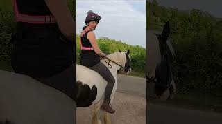 Day 10, Bareback hacking with Nelly - 30 Day riding challenge #equestrian #horseriding #shorts