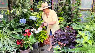 SIN este Mineral, las Plantas NO Desarrollan