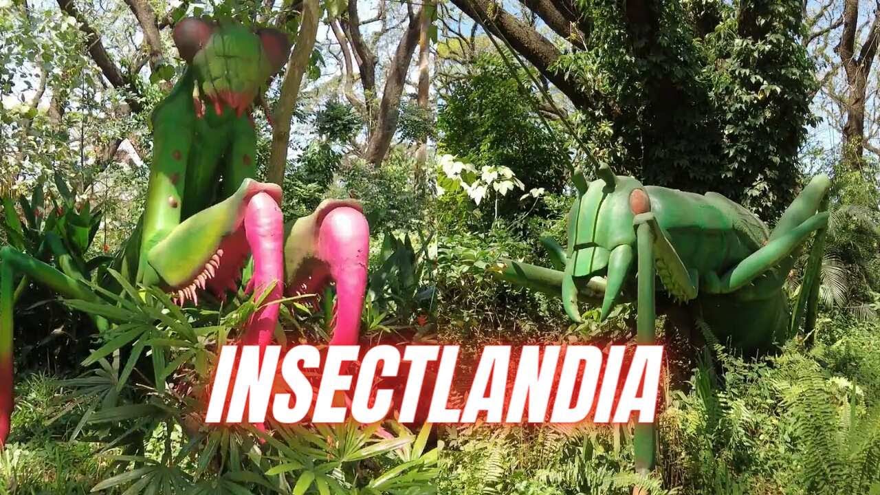 [20 INCREDIBLE INSECTS] Insectlandia Clark - Pampanga | PHILIPPINES ...