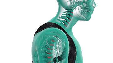 Posture Corrector 3D animation