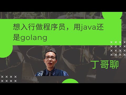 想入行做程序员，用java还是golang?