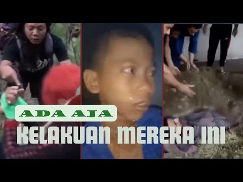 BIKIN NGAKAK PARAH 🤣 Video lucu banget, ngakak abis🤣 - chapter 4