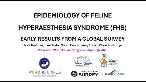 Feline Hyperaesthesia syndrome - what cats are affected?