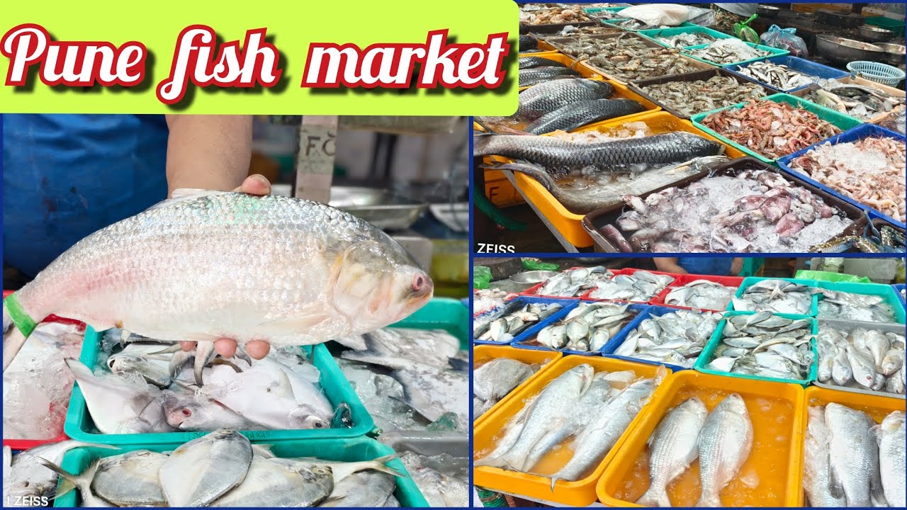 Pune fish market || Hilsa fish ki khoj me pohoch gai fish market 😃🐟