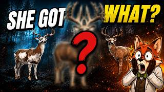 I Gave a Beginner 2 Rares, a Diamond, and THIS Trophy in COTW…