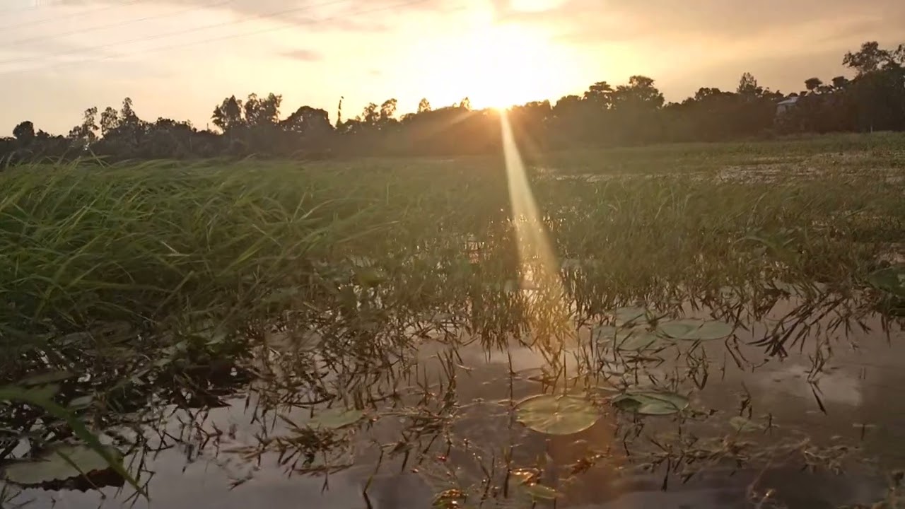 ‪@PJCinematicIdeas‬