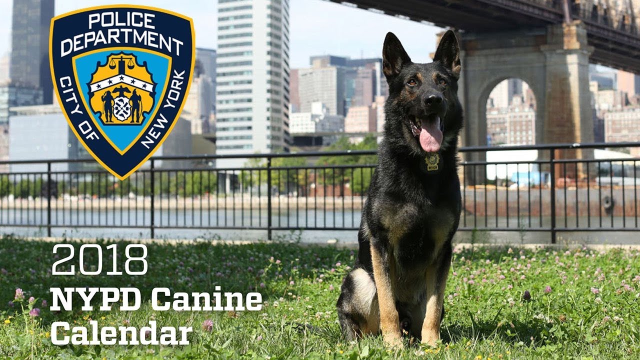 k9 nypd