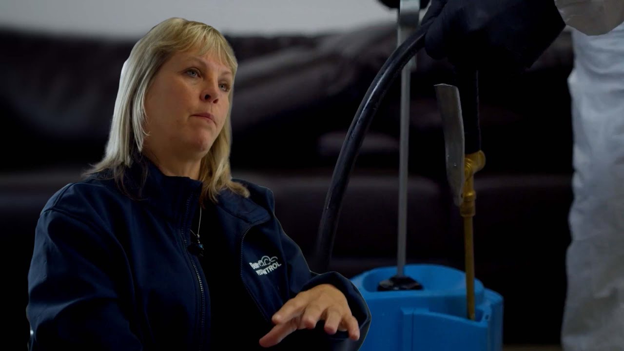 Pest control in the UK Clip