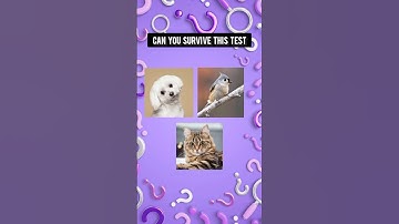 The Truth Will Shock You | Yes, Even AI #shorts #quiz #youtube