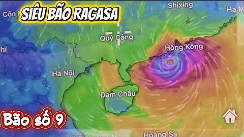 VƯỜN TÁO CHẠY ĐUA CHỐNG BÃO SỐ 9 -  SIÊU BÃO RAGASA I NÚI ĐỒI LỤC NGẠN