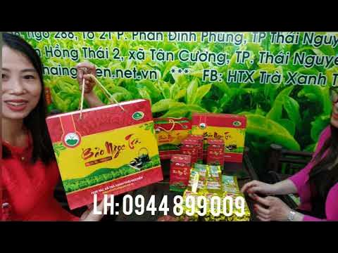 Top 10 Đặc Điểm Nổi Bật của Chè Tân Cương Xanh Thái Nguyên