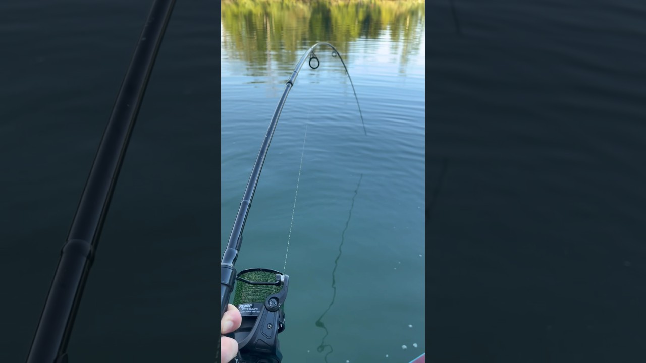 Da muss man die Bremse etwas lockern!! 