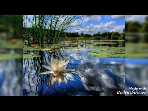 Musik zur Tiefenentspannung / peaceful slideshow meditation / yoga