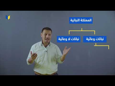 أحياء أول ثانوي ما هي النباتات الزهرية