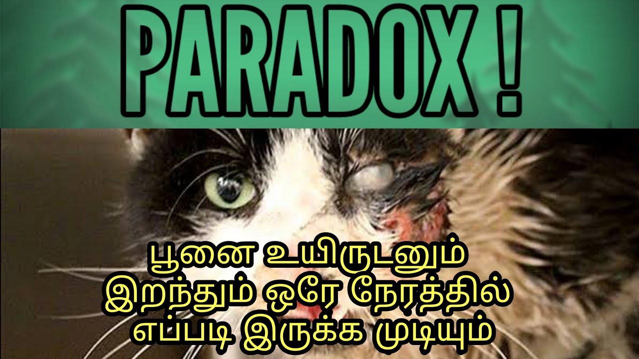 Schrodinger's cat experiment Tamil Dead or Alive? - YouTube