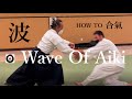 Wayof  wave of aiki   katsumi idogawa sensei  oizumi aikido canada  2023 12