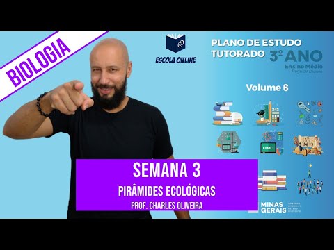 Vídeo: A coruja é produtora ou consumidora?