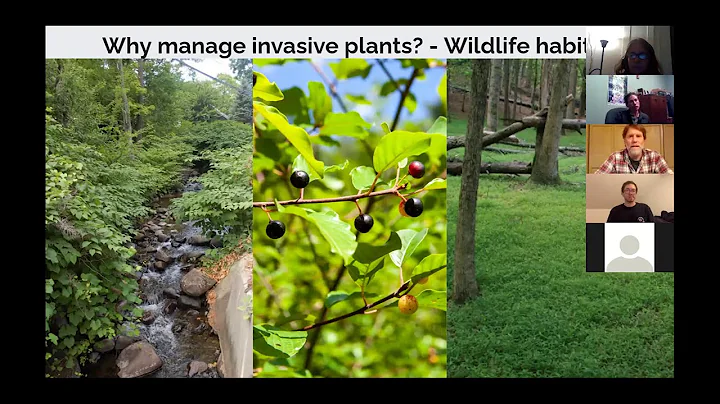 Invasive Plants Webinar Series: Introduction (SE VT Cooperative Invasive Species Mgmt Assoc)