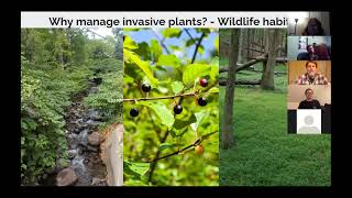 Invasive Plants Webinar Series: Introduction (SE VT Cooperative Invasive Species Mgmt Assoc)