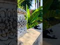 #fezmorocco #jnansbilgarden #moroccanculture #fez #fes #travel #tourfez #maroc #morocco  #visitfez