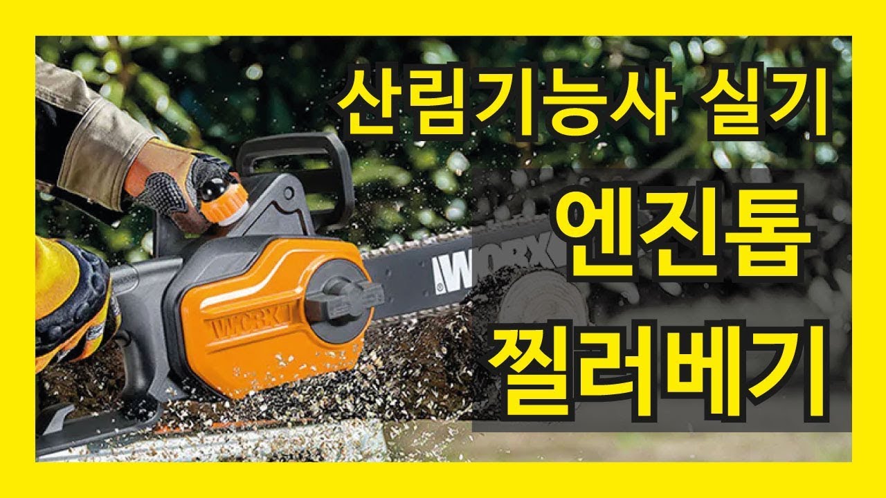산림기능사 실기 엔진톱 찔러베기 korean lumberjack chain saw