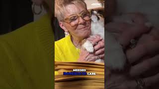 Charlotte pet store shut down after death of 11 puppies