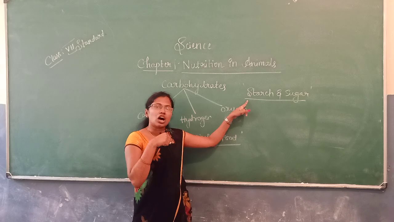 Class 7th Science - YouTube