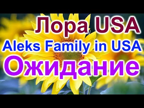 Видео: Лора USA и Aleks Family in USA. Ожидание