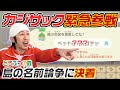 【あつ森】島の名前が決まらな過ぎて、カジサックに来てもらいました #2
