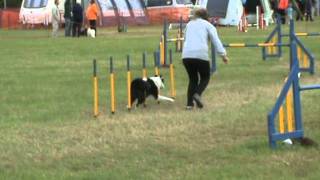 2011-09-17 - Amanda & Archie Grade 1-3 Jumping