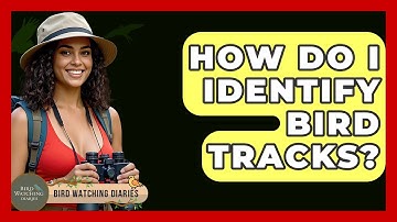 How Do I Identify Bird Tracks? - Bird Watching Diaries