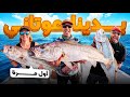 موسم الكوربين بدأ بقوة صيد متواصل صباحا وعند الغروب 