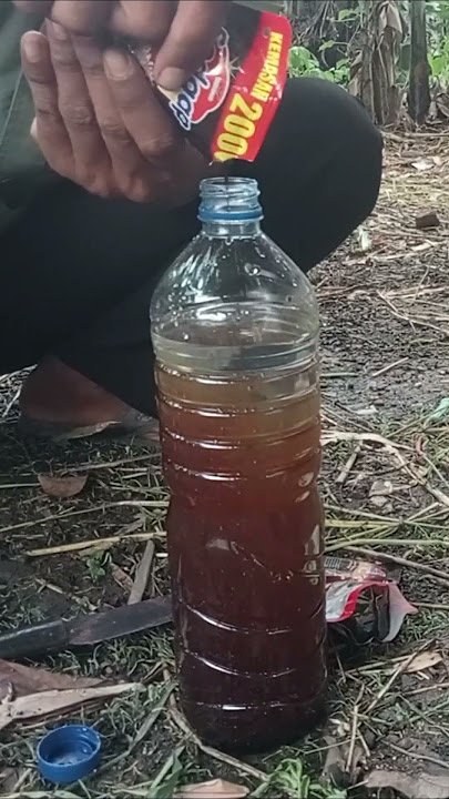 RAHASIA AGAR KAMBING GEMUK DAN MENAMBAH NAFSU MAKAN #kandangmodern #domba  #kambing #dombakambing