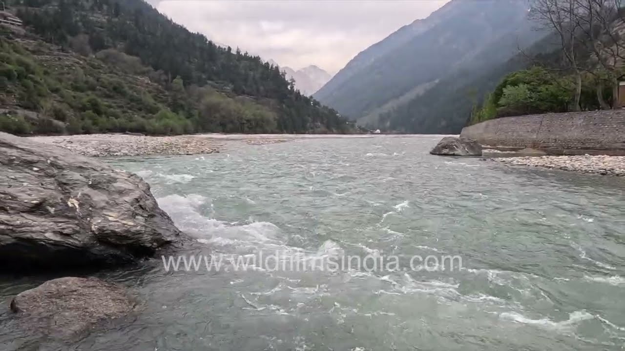 Bhagirathi Ganga flowing through the green hills of Uttarakhand | Himalayan serenity