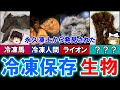 【ゆっくり解説】冷凍保存で発見された「生物」 8選