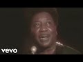 🔥 Muddy Waters - Hoochie Coochie Man (Live) 🎸 | Blues Legend Performance